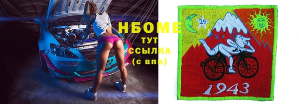 индика Мегион