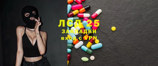 индика Мегион