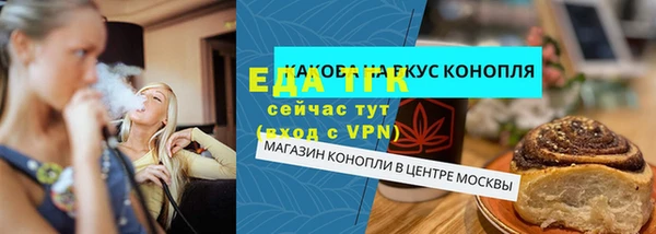 индика Мегион