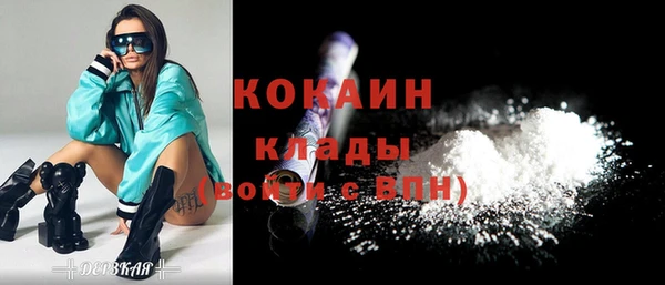 молекула духа Медвежьегорск