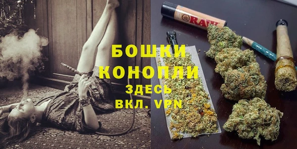 индика Мегион