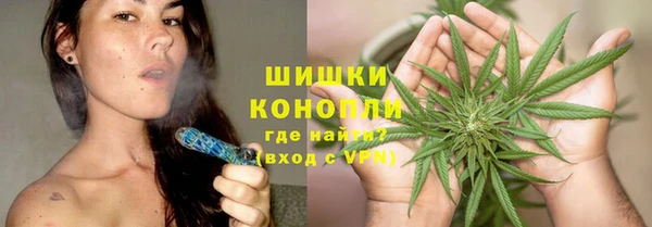 индика Мегион