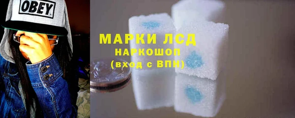 индика Мегион
