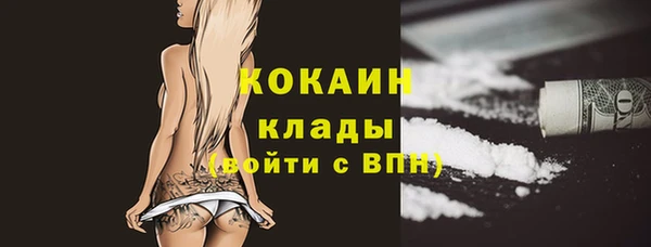 молекула духа Медвежьегорск