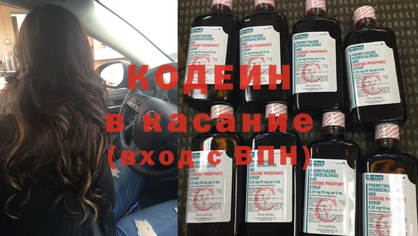 индика Мегион