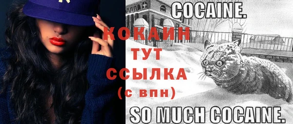 молекула духа Медвежьегорск