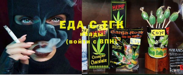 индика Мегион