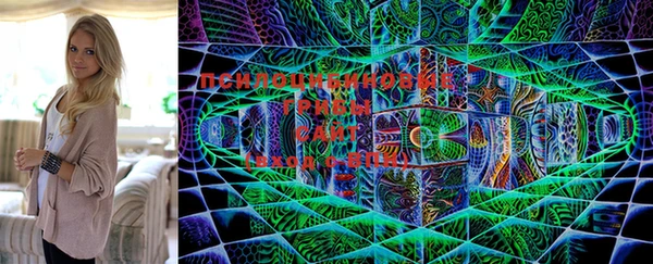 индика Мегион
