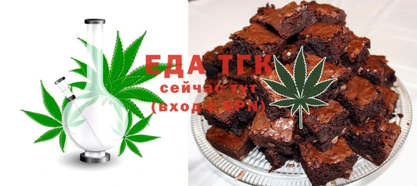индика Мегион