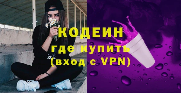 индика Мегион