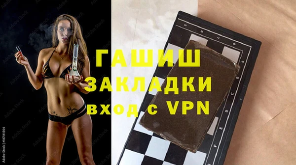 индика Мегион