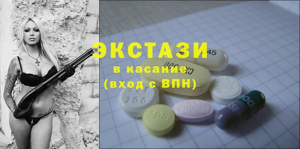 индика Мегион