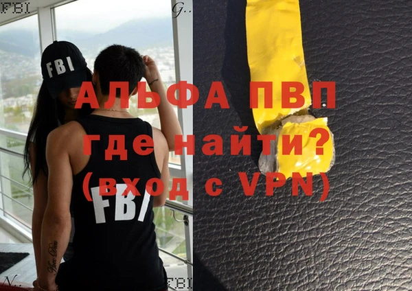 молекула духа Медвежьегорск