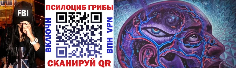 Псилоцибиновые грибы Psilocybine cubensis  где продают   Черемхово 